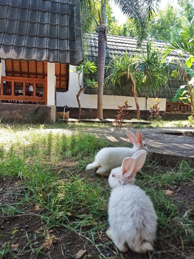 Отель Follow The Rabbit Bungalow Гили-Эйр Экстерьер фото