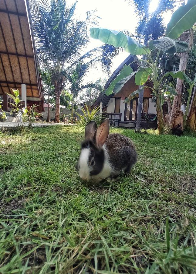 Отель Follow The Rabbit Bungalow Гили-Эйр Экстерьер фото