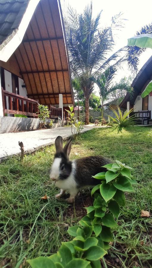 Отель Follow The Rabbit Bungalow Гили-Эйр Экстерьер фото