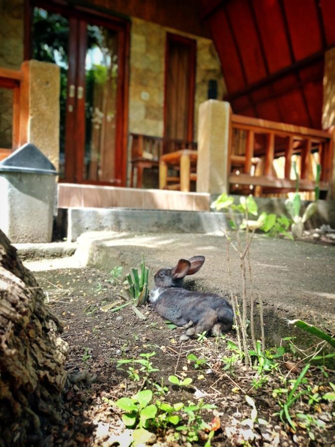 Отель Follow The Rabbit Bungalow Гили-Эйр Экстерьер фото